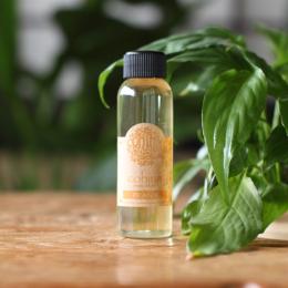 cohina アロマディフューザー PELANGI(プランギ)