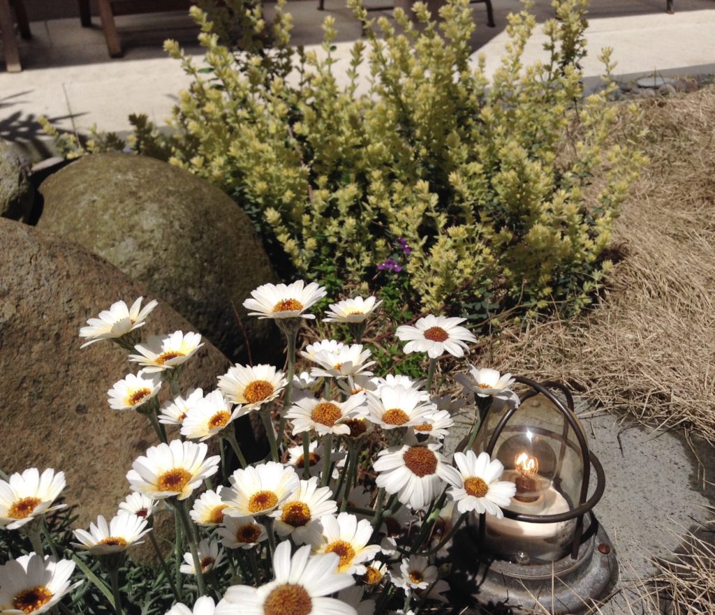 花、庭、BALI SPA　Jepun Sari,ジュプンサリ,バリスパ,リラクゼーション,アロマ,オイルマッサージ,バリニーズ,クリームバス,ヘッドスパ,フェイシャル,テラヘルツ,Jamuオイル,ジャムゥ,マッサージスクール